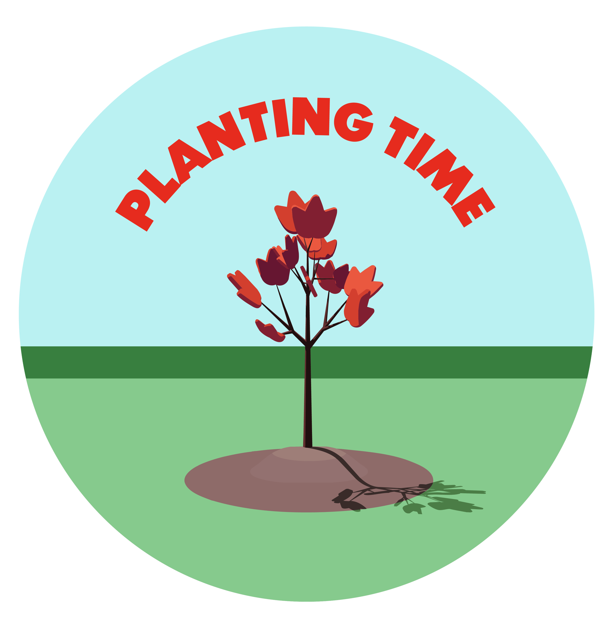 Edited_TreeIllustration-02-1 Edited_TreeIllustration-02-1